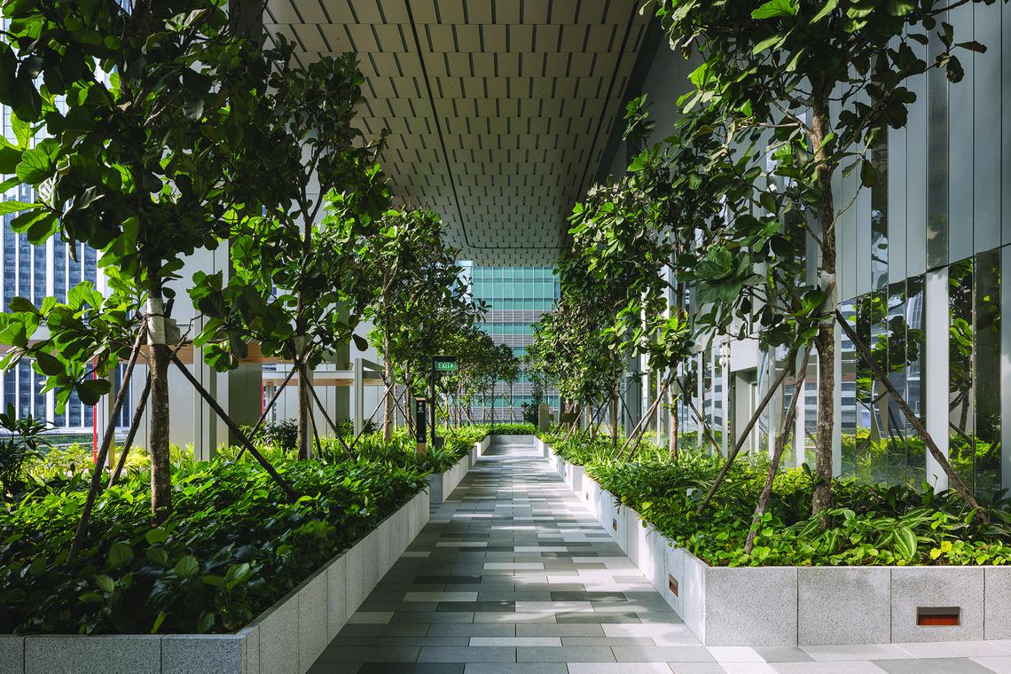 The Business Times 20250806 IOIPG W Residences Marina View 4