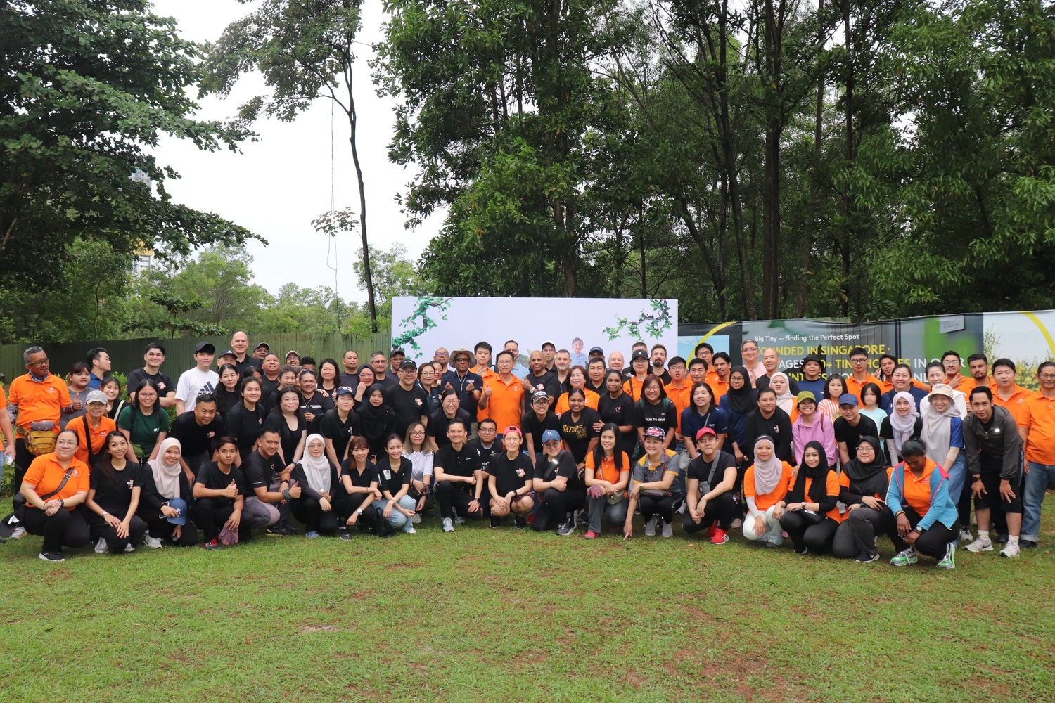 Tree Planting Drive at 16 Sierra